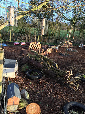 Introducing our new wildlife area…